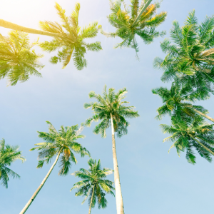 Air Conditioning in the Treasure Coast