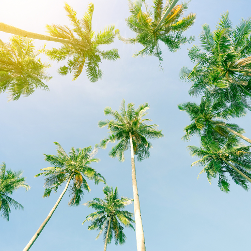 Air Conditioning in the Treasure Coast